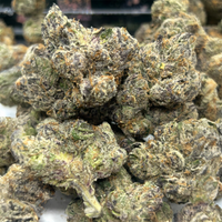 Frozen Black Cherry 🍒 - Indoor - Indica