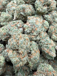 Green Lantern Indoor - Bulk - Hybrid/Sativa