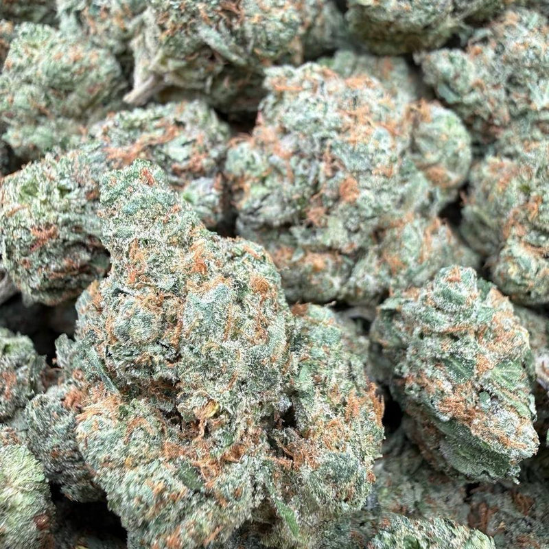 Exotic Green Lantern - Bulk - Sativa