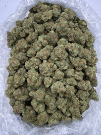 Green Lantern - Hybrid/Sativa