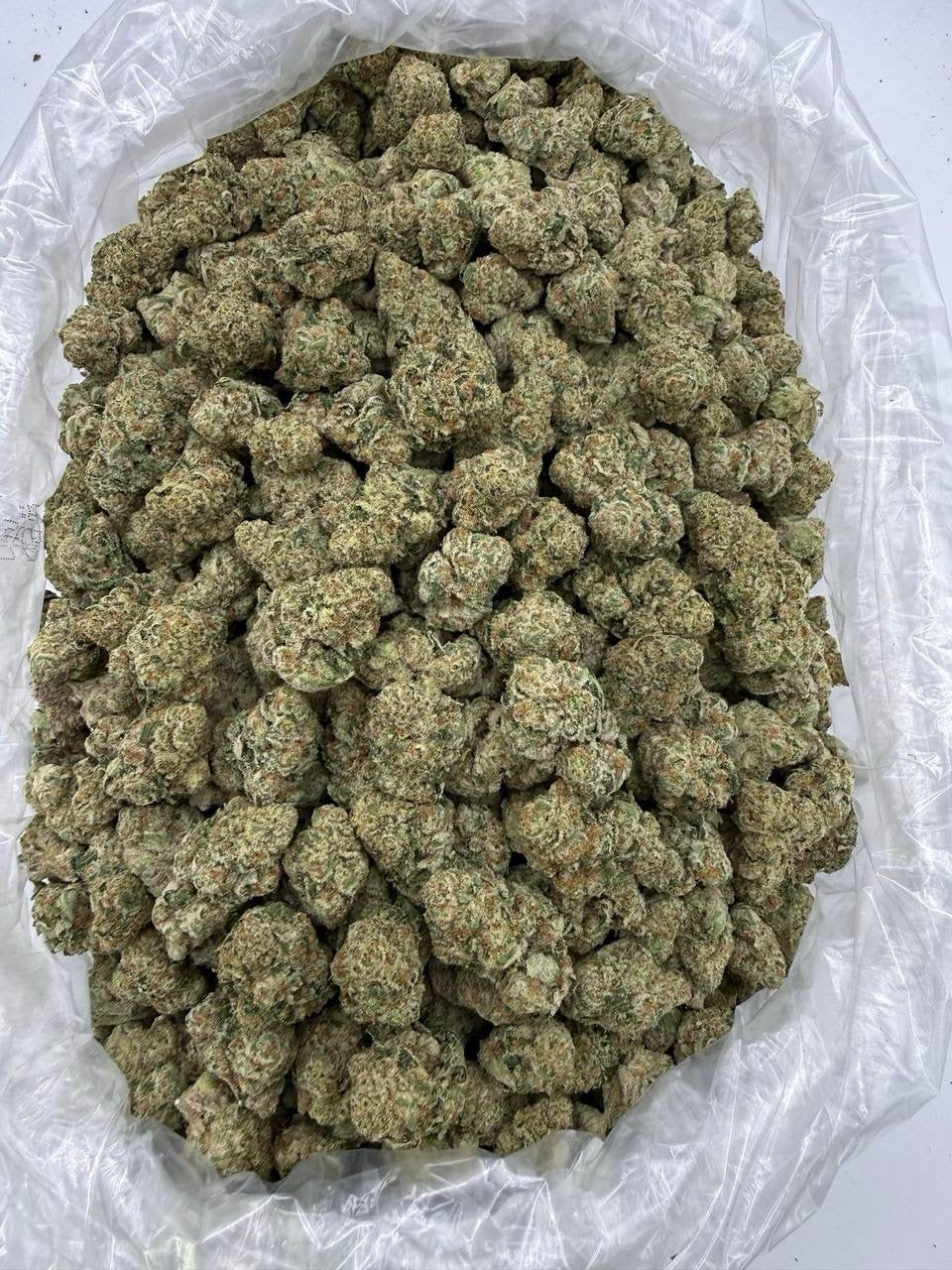 Exotic Zoap - Bulk - Hybrid