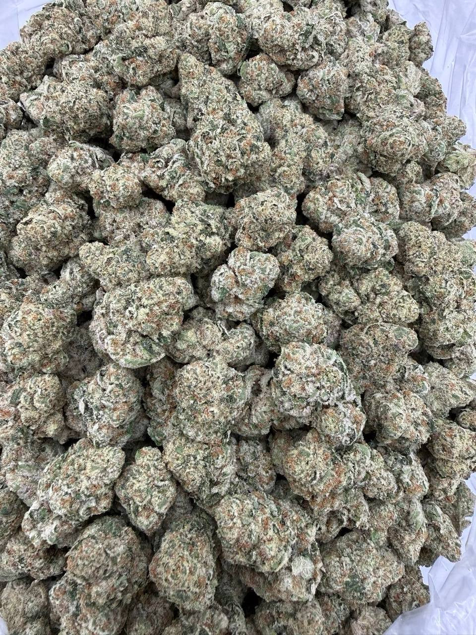 Exotic Zoap - Bulk - Hybrid