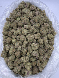 Exotic Sugar Tart - Hybrid