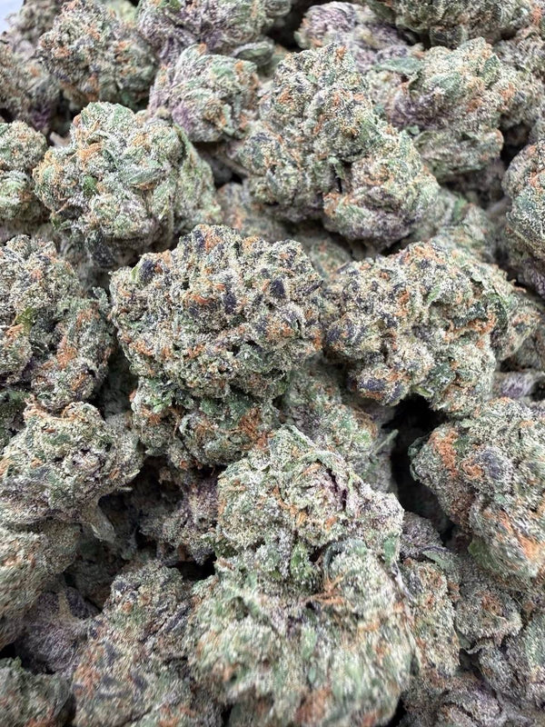Exotic Sugar Tart - Bulk - Hybrid