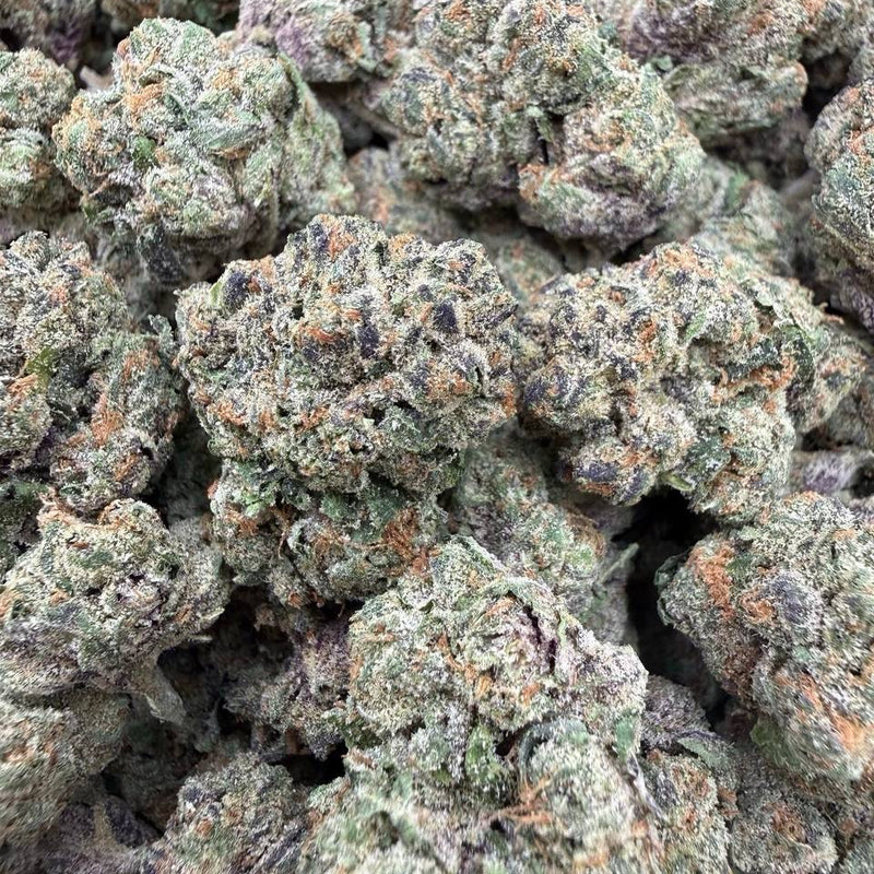 Exotic Sugar Tart - Bulk - Hybrid