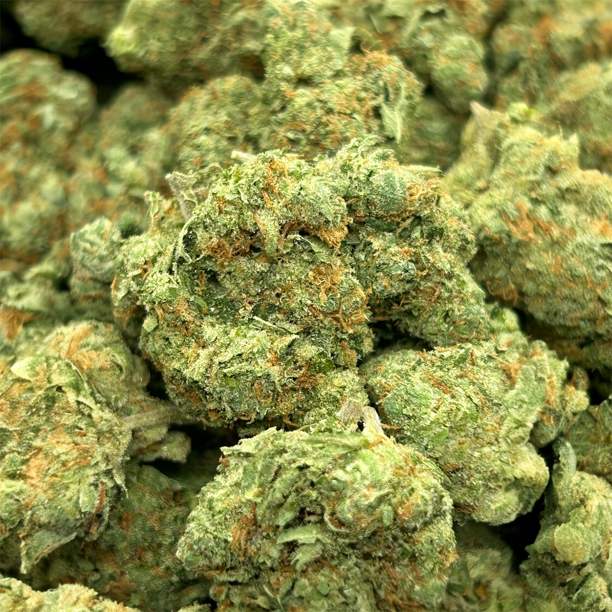 Green Lantern - Hybrid/Sativa