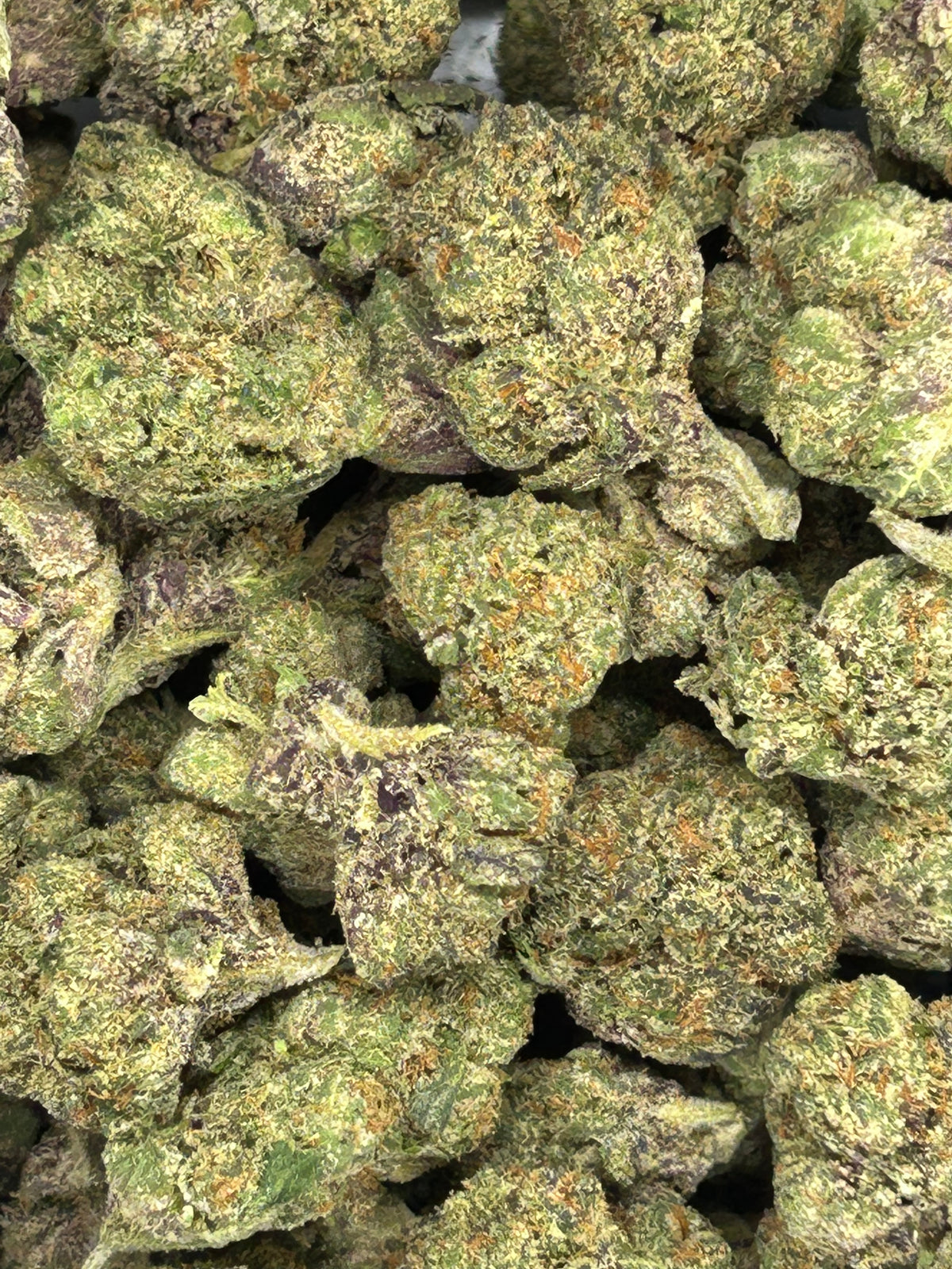 Exotic Sugar Tart - Hybrid