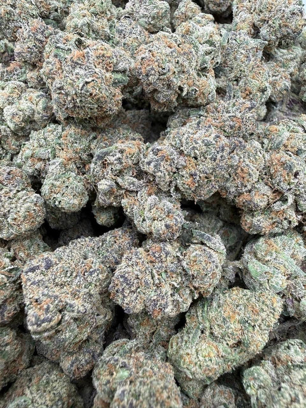 Exotic Cherry Bomb - Bulk - Hybrid