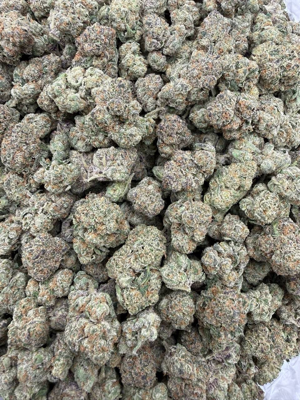 Cherry Bomb - Bulk - Hybrid