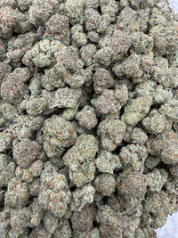 Cherry Bomb - Bulk - Hybrid