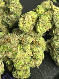 Gary Cherry - Bulk - Hybrid