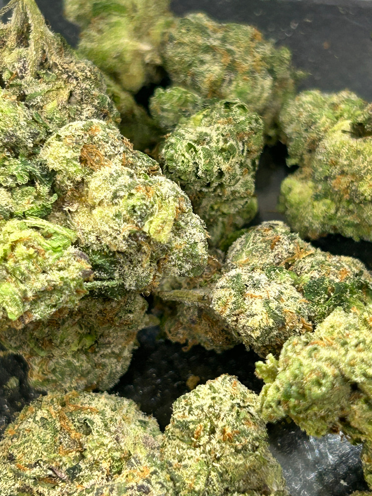 Gary Cherry - Hybrid/Indica