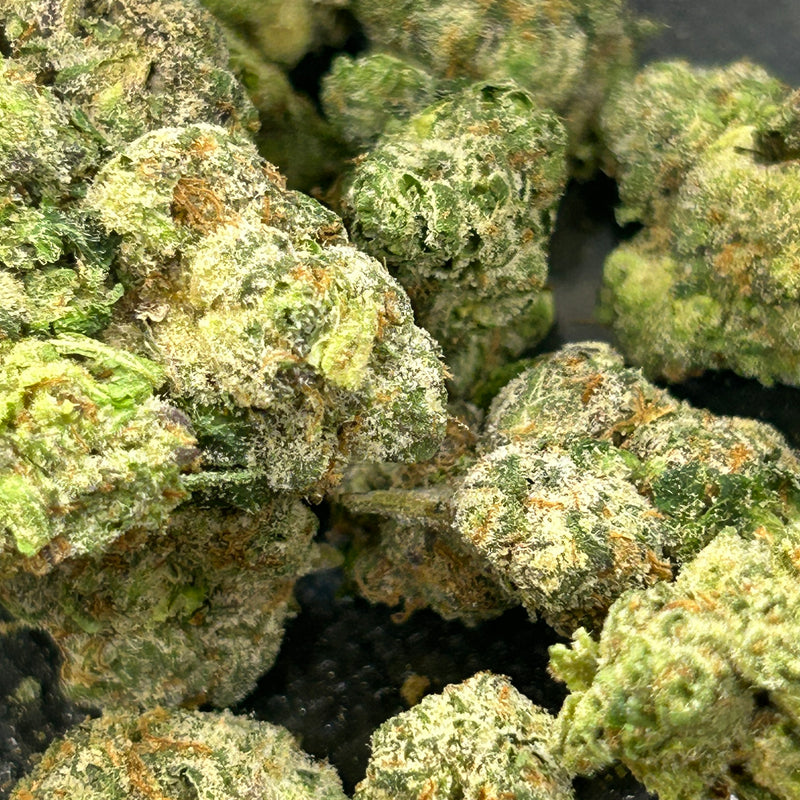 Gary Cherry - Hybrid/Indica