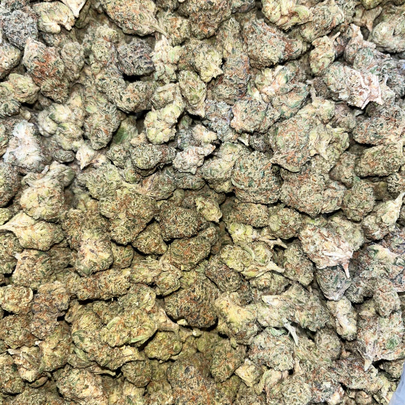 La Fresa x Kp #2 - Bulk - Hybrid