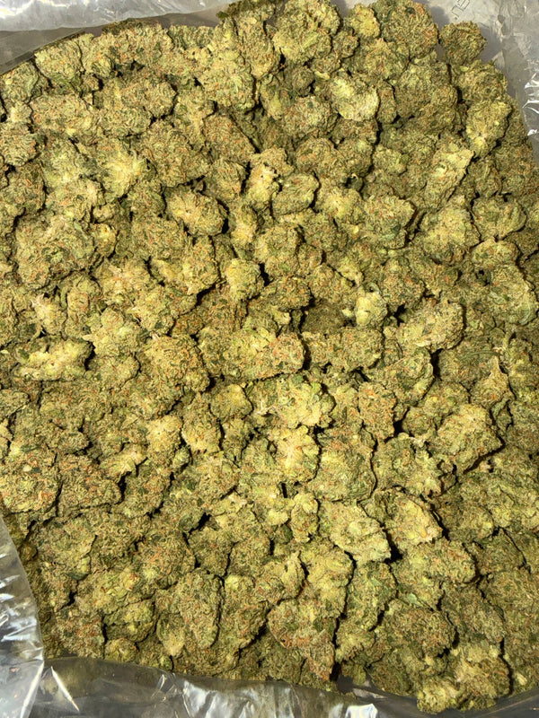 Exotic Jack Herer (Popcorn) - Bulk - Sativa