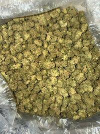 Exotic Jack Herer (Popcorn) - Bulk - Sativa
