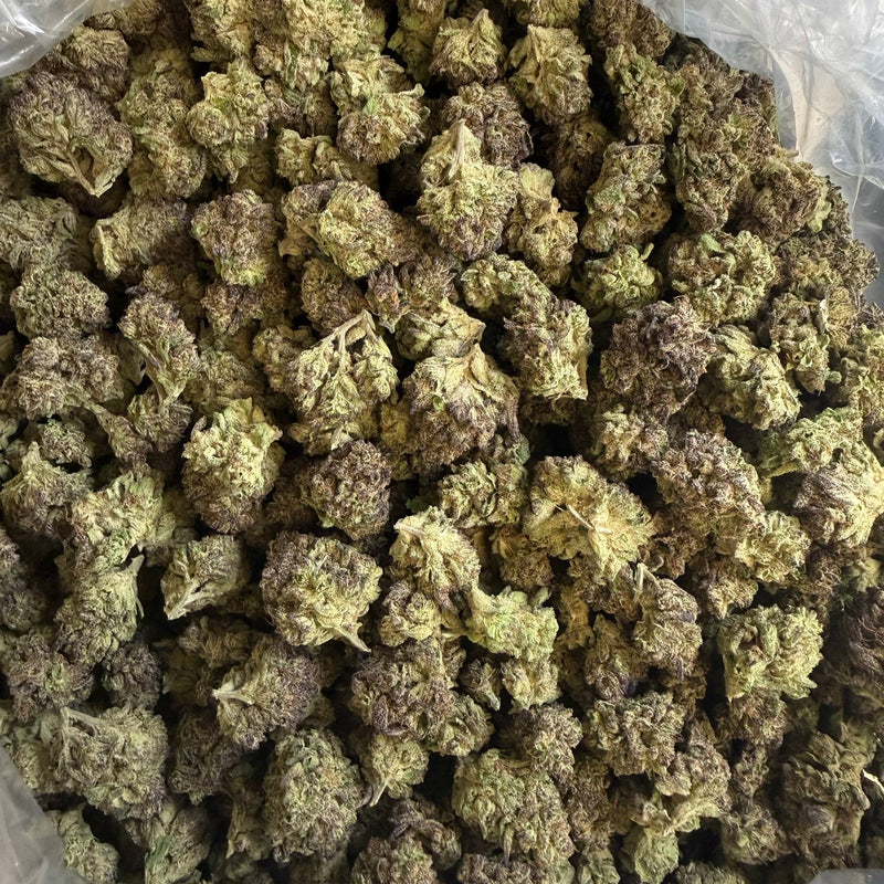 Runtz Light Deep - Bulk - Hybrix