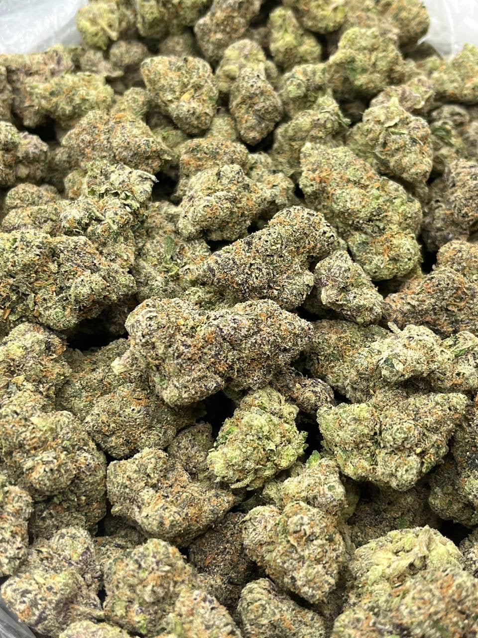 Exotic Don Merfos - Bulk - Hybrid