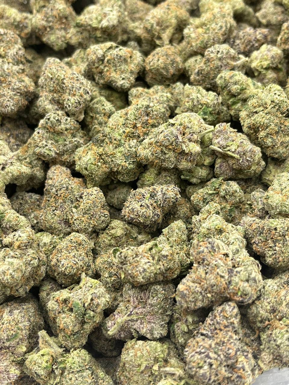 Exotic Don Merfos - Bulk - Hybrid