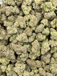 Exotic Don Merfos - Bulk - Hybrid