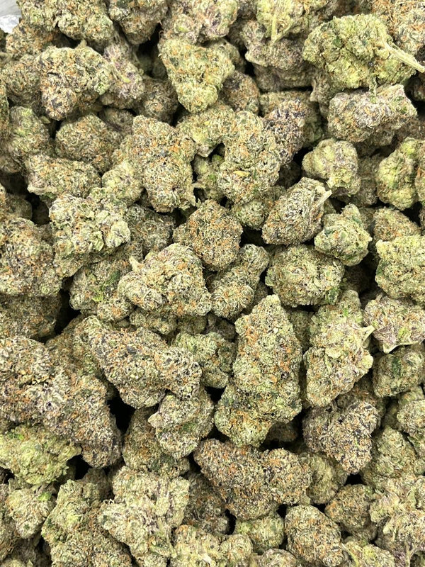 Exotic Don Merfos - Bulk - Hybrid