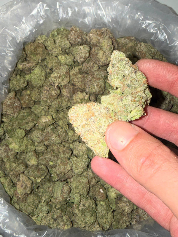 Bubble Gum Runtz - Bulk - Hybrid
