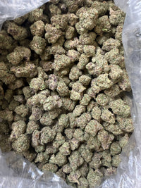 Runtz x Exotic - Bulk -