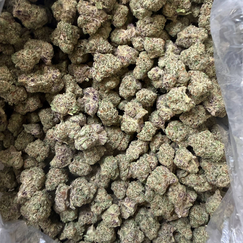 Runtz x Exotic - Bulk - Hybrid