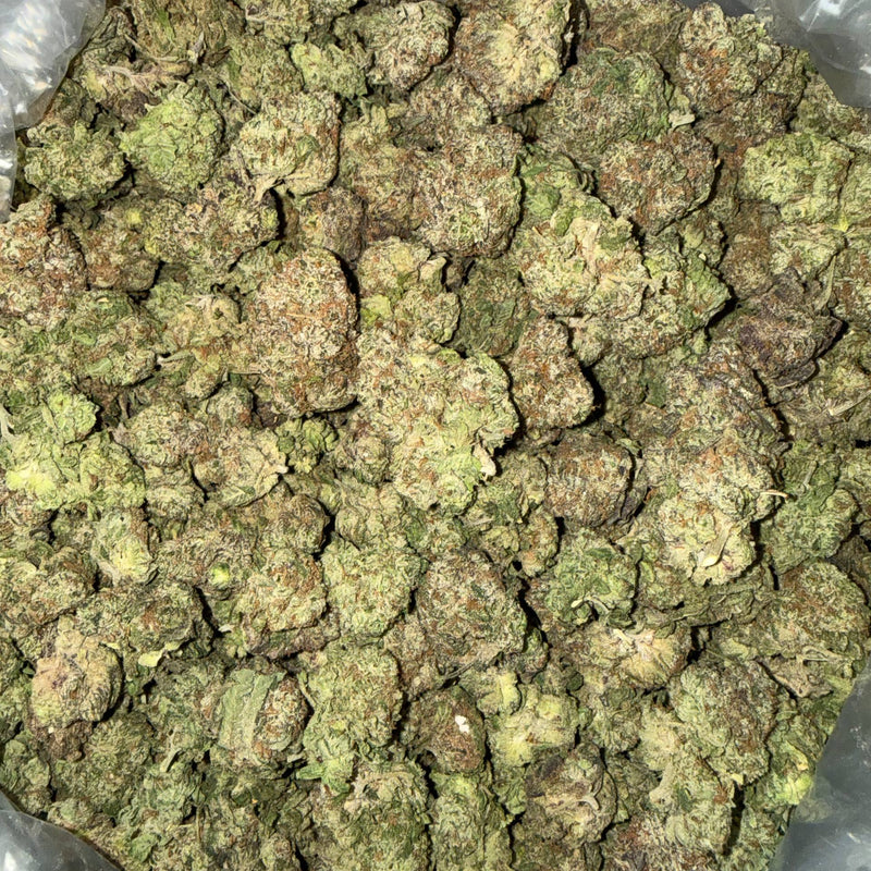 Bubble Gum Gelato - Bulk - Hybrid/Indica