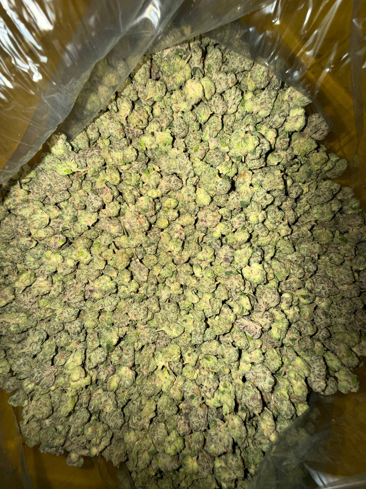 Exotic Gushers - Bulk - Hybrid
