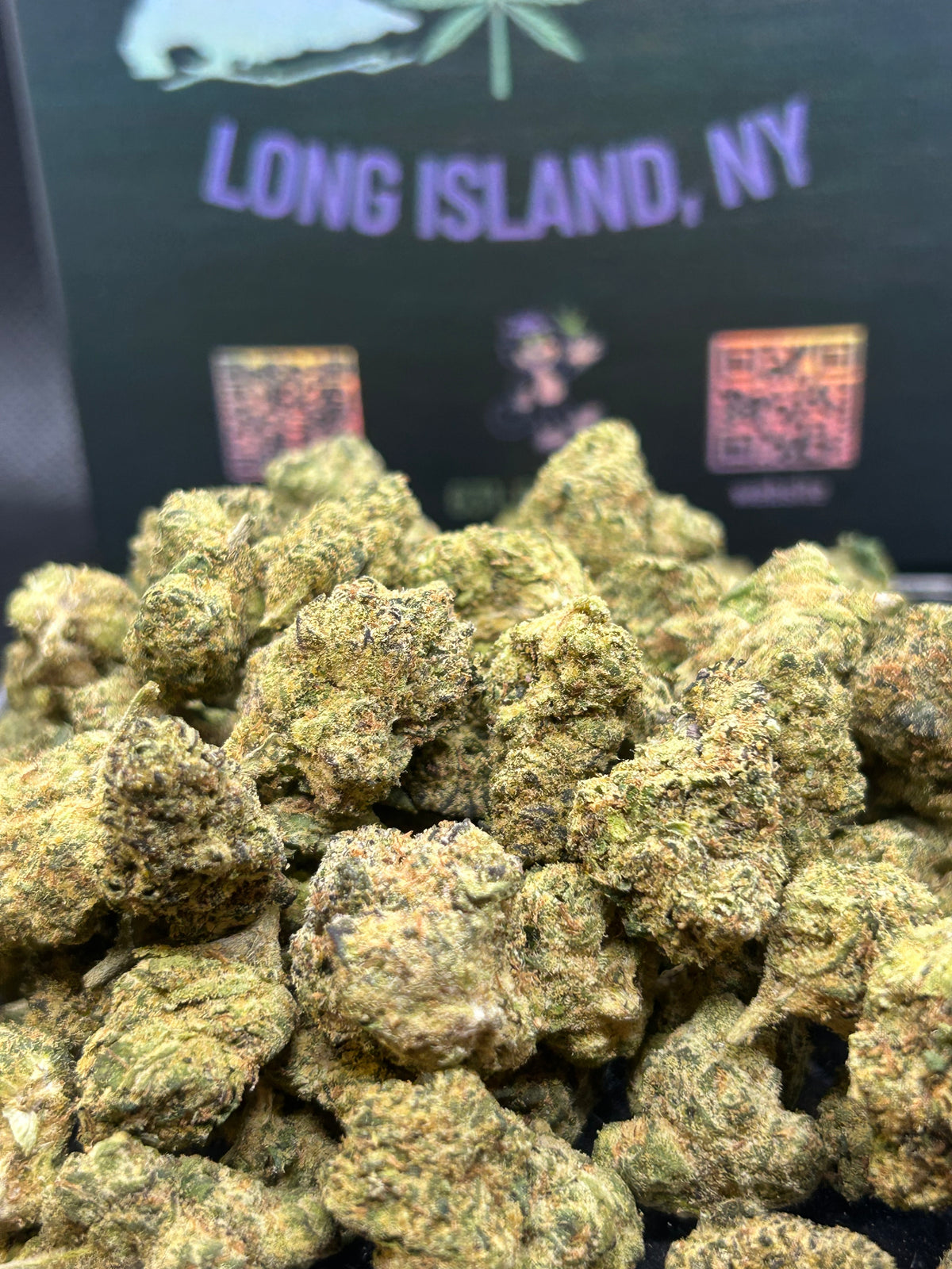 Runtz x Exotic - Hybrid/Sativa