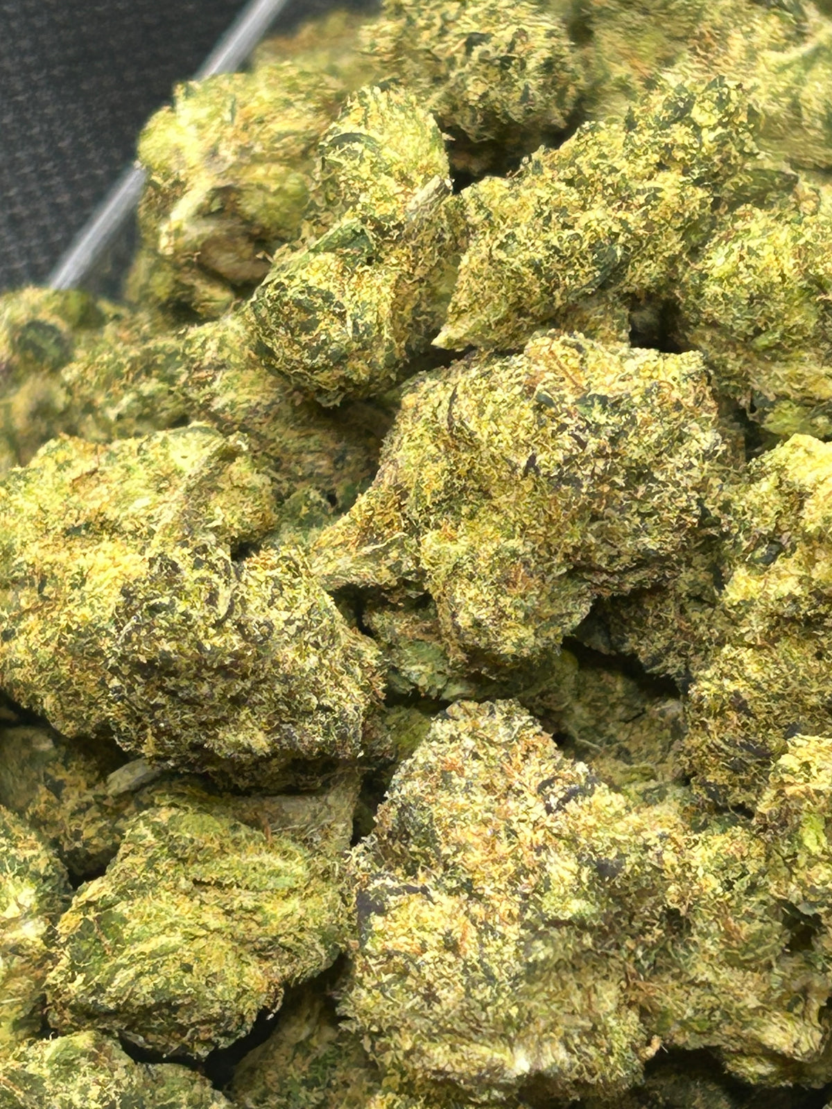 Runtz x Exotic - Hybrid/Sativa