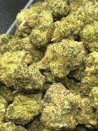 Runtz x Exotic - Hybrid/Sativa