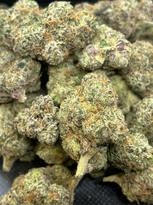 Rare Blue Lobster - Hybrid/Indica