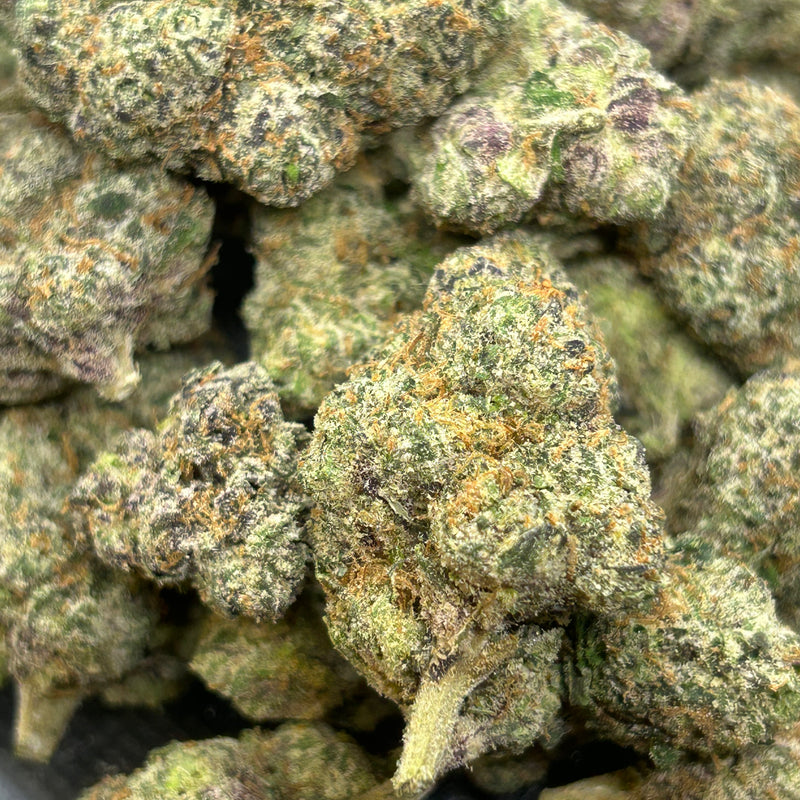 Rare Blue Lobster - Hybrid/Indica