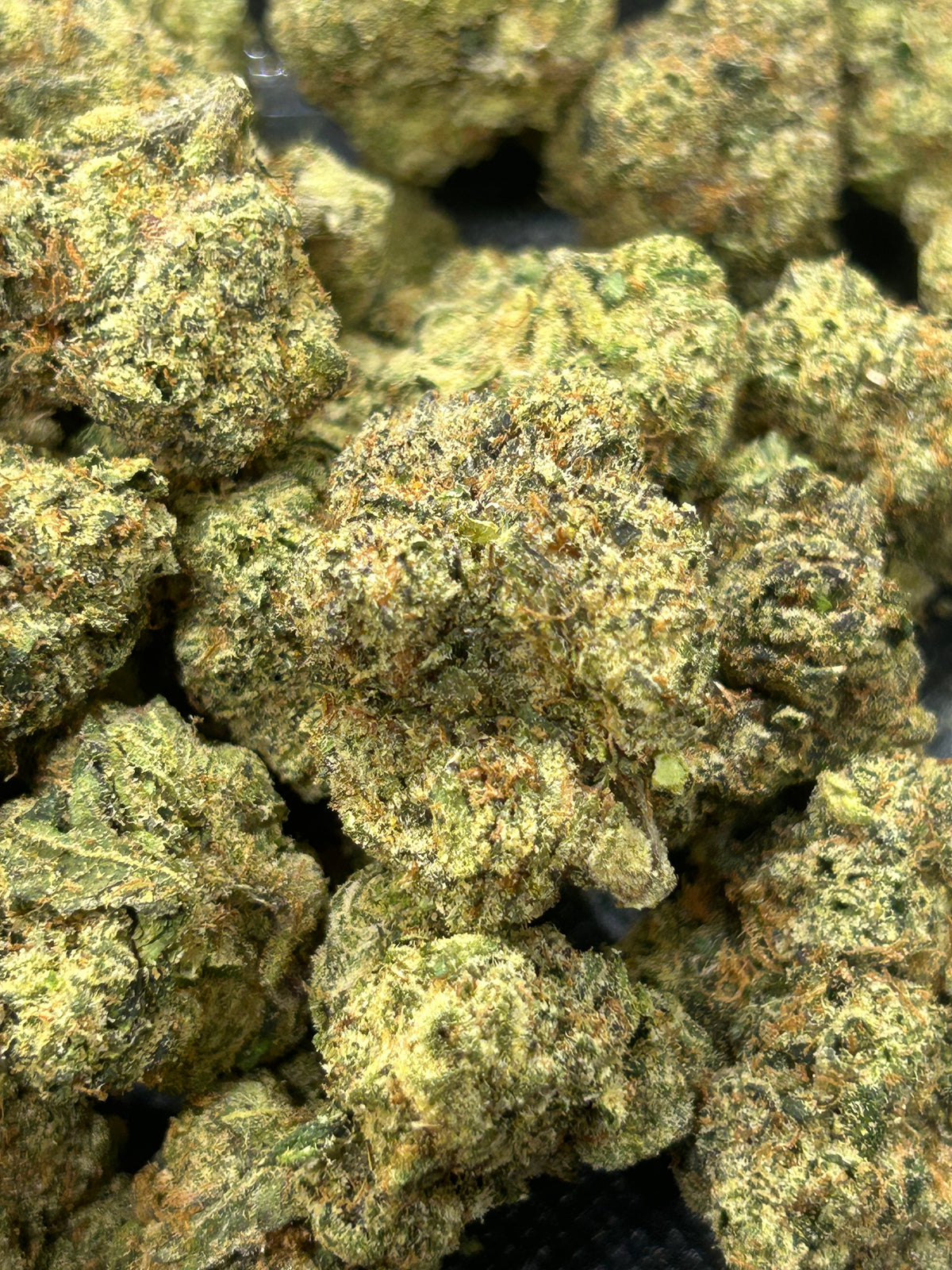 Rare Blue Lobster - Bulk - Hybrid - Indica