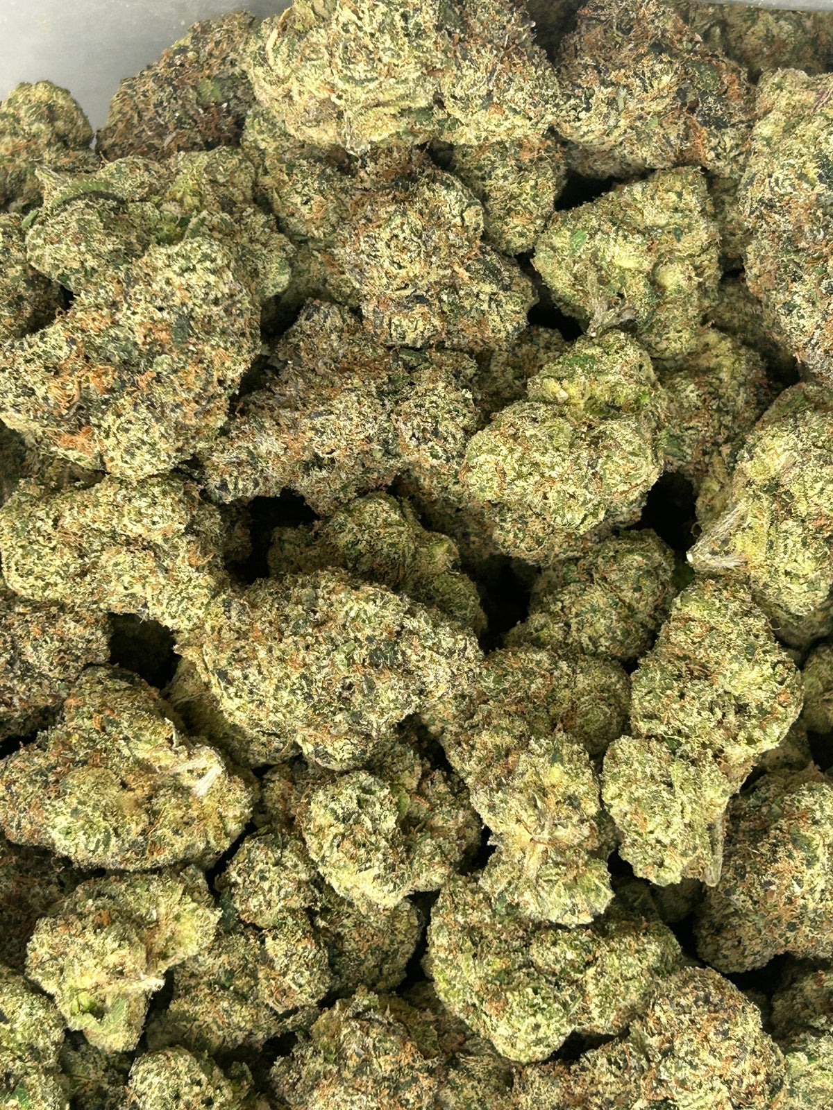 Blue Andes - Bulk - Indica