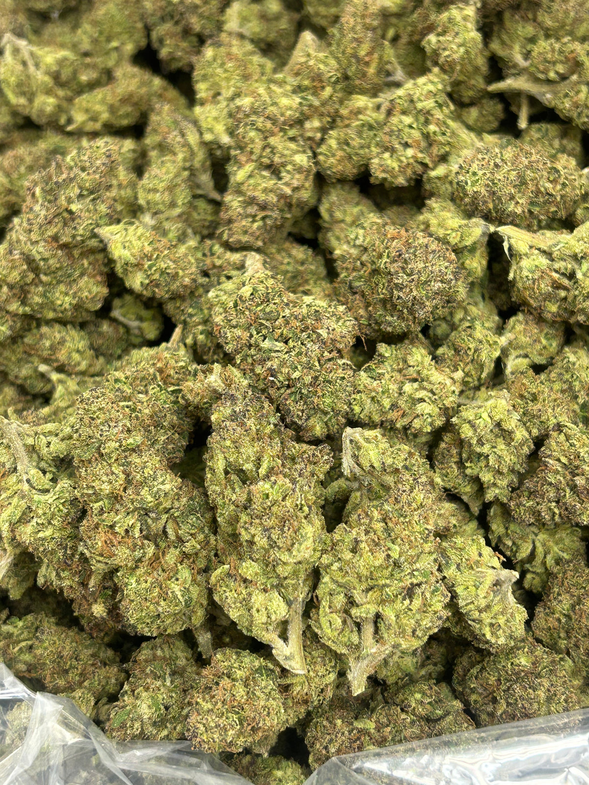 Purple Diesel - Sativa