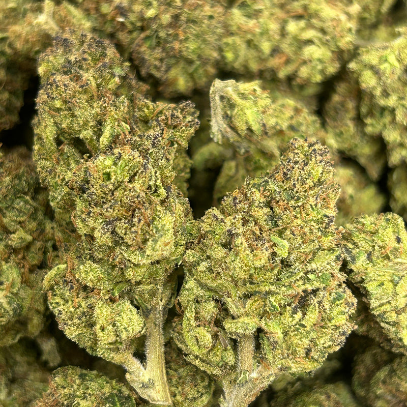 Purple Diesel - Bulk - Sativa