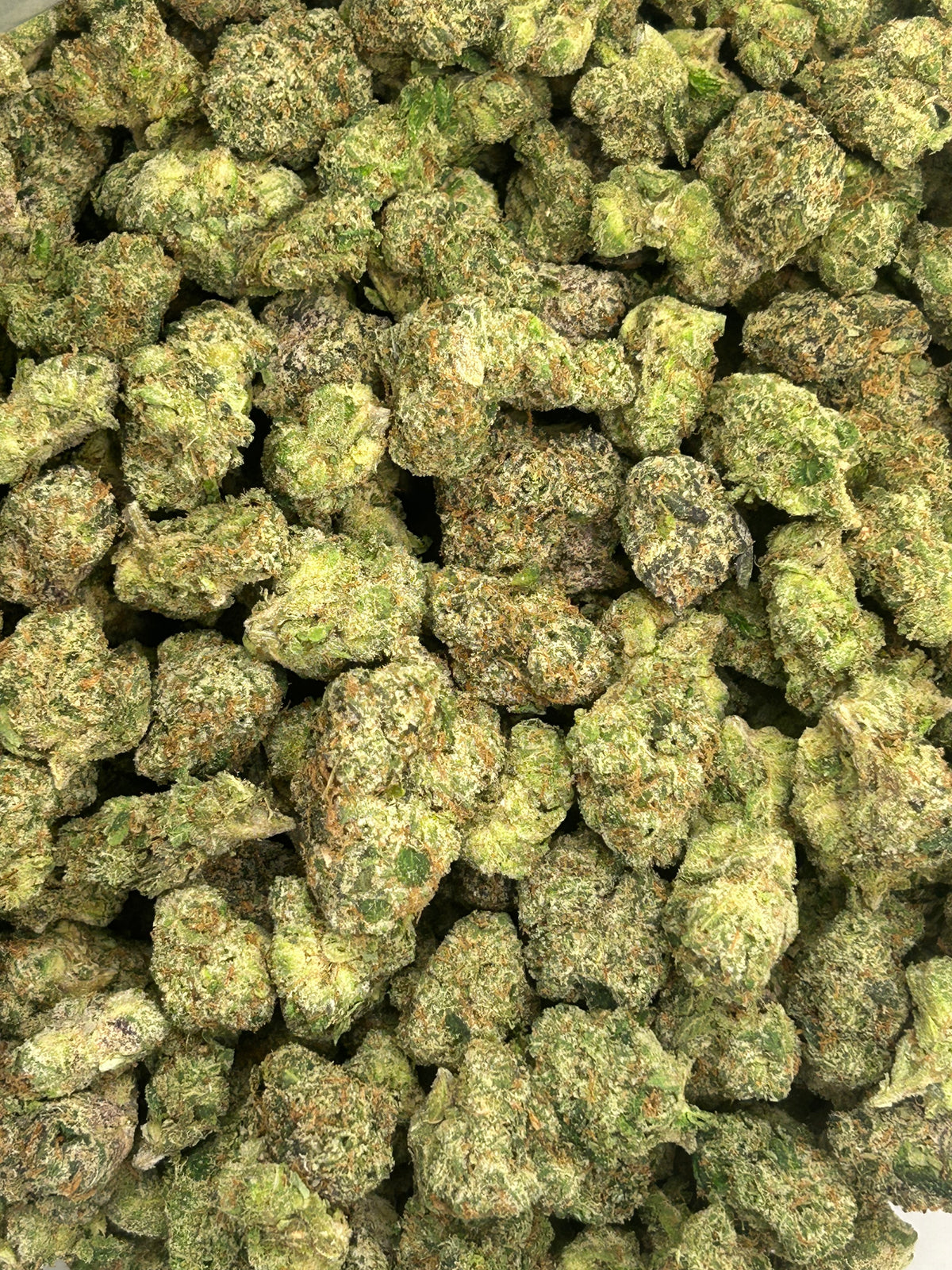 Russian Runtz x LCG - Hybrid