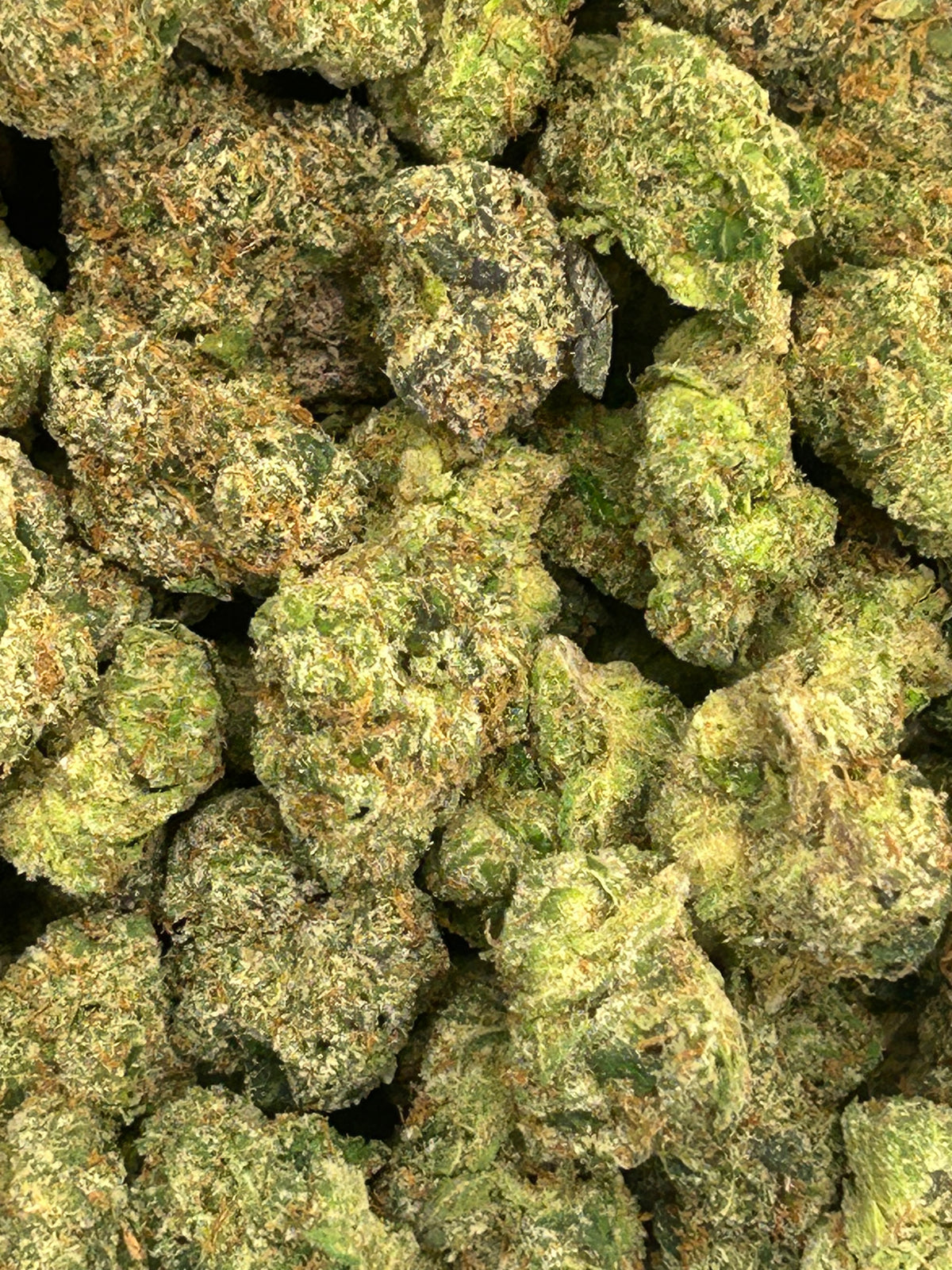 Russian Runtz x LCG - Hybrid