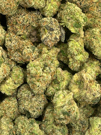 Russian Runtz x LCG - Hybrid