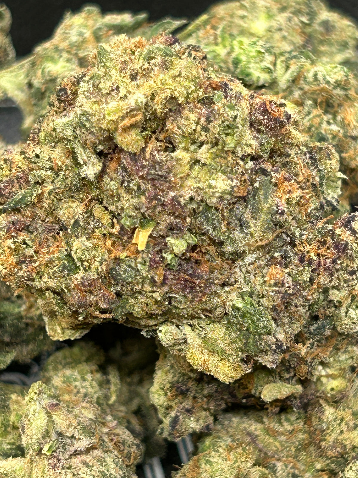 Bruce Banner - Bulk - Hybrid/Sativa