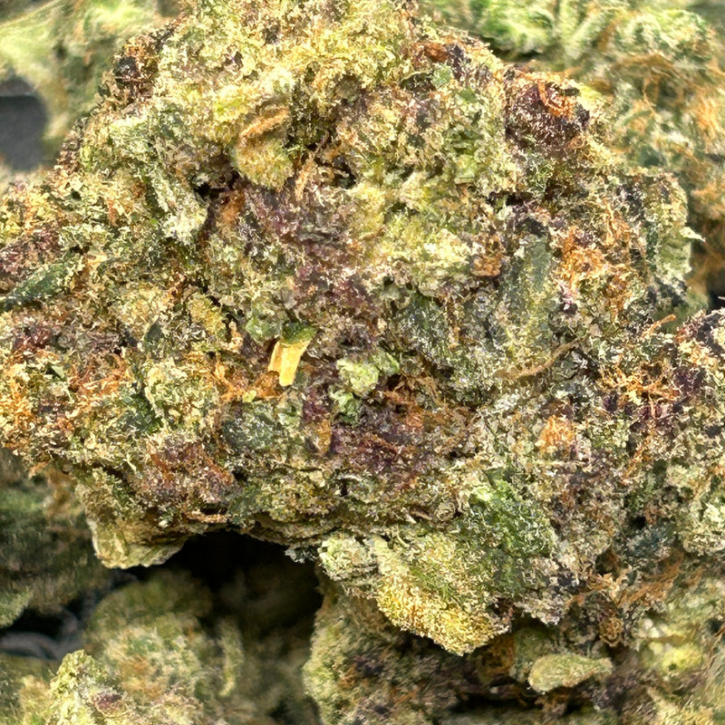 Bruce Banner - Bulk - Hybrid/Sativa