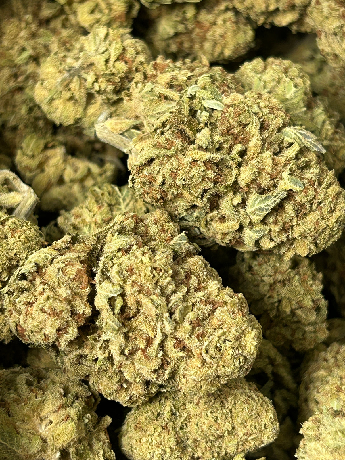 Papaya Fizz - Hybrid