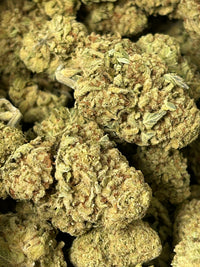 Papaya Fizz - Hybrid