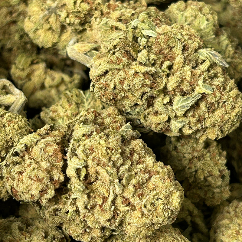 Papaya Fizz - Bulk - Hybrid