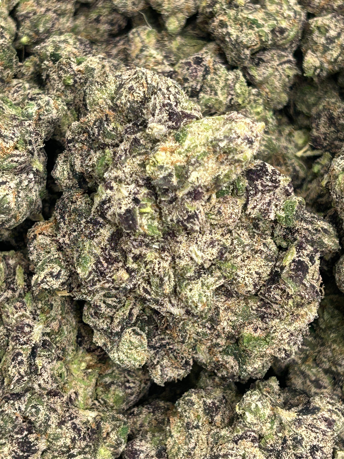 Blue Acai Indoor - Hybrid/Indica