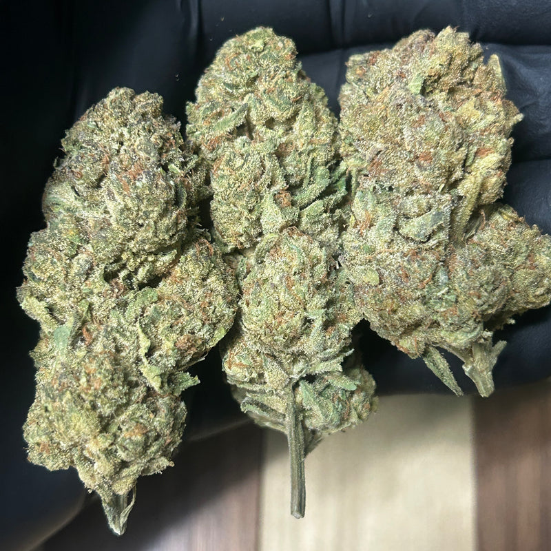 Trap Reserve - Bulk - Hybrid