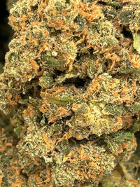 Jack Herer Indoor - Bulk - Sativa